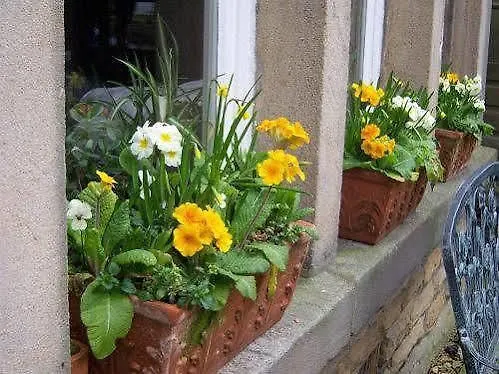 Guest house Spring Lodge Harrogate